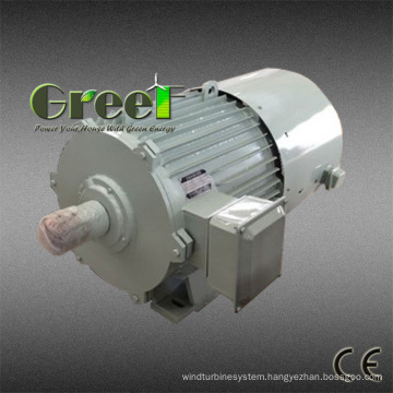 Three Phase Permanent Magnet Generator 50kw 250rpm Pmg for Sales